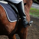 Tragedy Strikes: Two Horse Riders Fatally Injured in Cross-Country Eventing Competitions Tragedy Strikes: Two Horse Riders Fatally Injured in Cross-Country Eventing Competitions