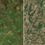 Satellite Imagery Reveals Severe Impact of UK Drought and Heatwaves