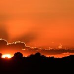 Silent Casualties: UK’s Heatwave Death Toll Reveals Stark Gaps in Climate Preparedness Silent Casualties: UK’s Heatwave Death Toll Reveals Stark Gaps in Climate Preparedness