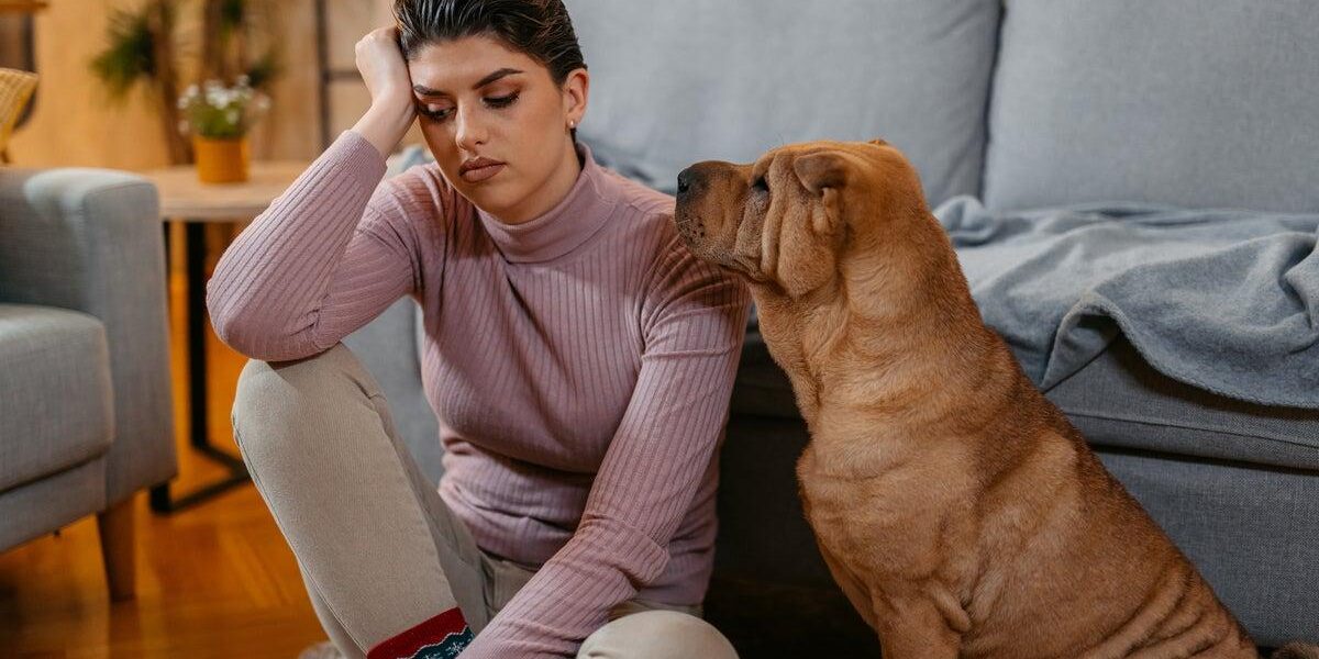 Experts Highlight Stress and Challenges of Pet Ownership