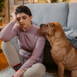 Experts Highlight Stress and Challenges of Pet Ownership Experts Highlight Stress and Challenges of Pet Ownership
