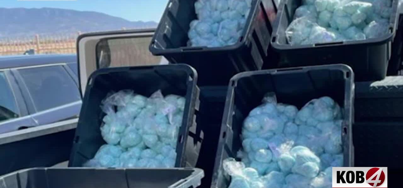 Fentanyl’s Shadow: Bureaucratic Turf Wars Blind Law Enforcement in Crisis