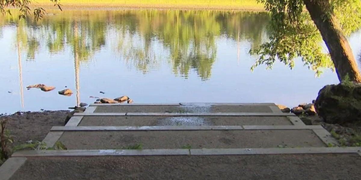 Pet Owner Believes Dog’s Death Linked to Toxic Algae in Charles River