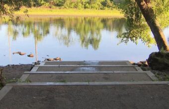 Pet Owner Believes Dog’s Death Linked to Toxic Algae in Charles River