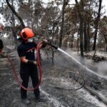 Embers of Betrayal: French Arson Allegation Exposes Deeper Fault Lines in Climate War