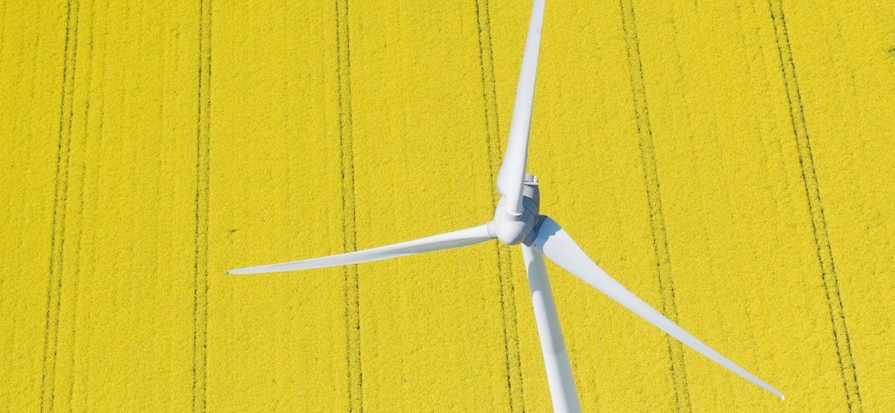 Berlin’s Green Gamble: Shifting Sands Beneath Europe’s Energy Architecture