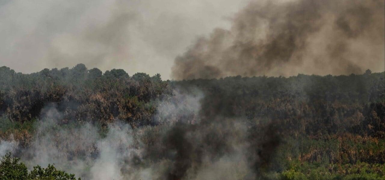 France and Spain Battle Wildfires as New Heatwave Approaches