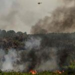 France and Spain Battle Wildfires as New Heatwave Approaches