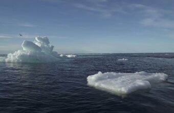 Recent Arctic Trends Raise Concerns Over Long-term Climate Impact