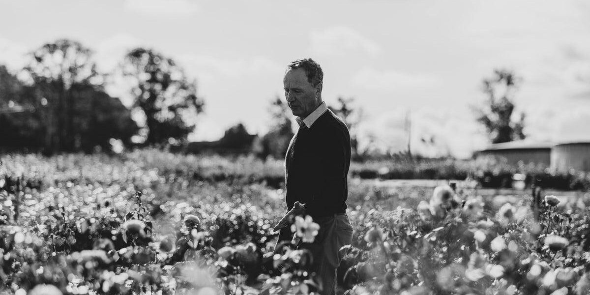 Rose Growing Icon David Austin Passes Away at 67