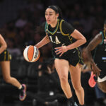 Hoops & Hardball: The WNBA’s Shifting Sands of Fortune Reflect Broader Economic Headwinds