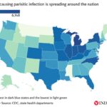 Surge in Diarrhea-Causing Parasite Cases Across the US Surge in Diarrhea-Causing Parasite Cases Across the US