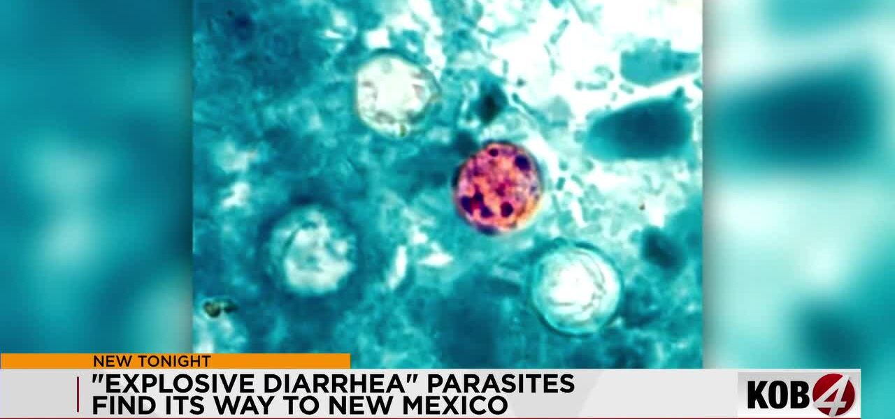 Dirt & Doubt: New Mexico’s Microbe Menace Sparks Global Trade Anxieties