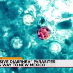 Dirt & Doubt: New Mexico’s Microbe Menace Sparks Global Trade Anxieties