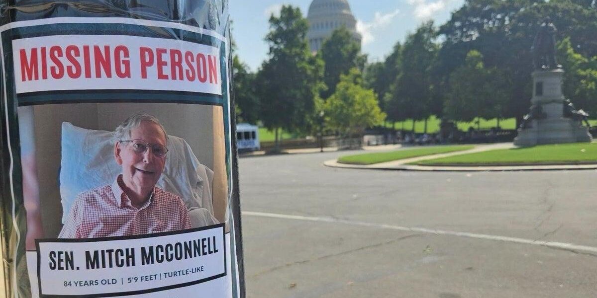 Posters Featuring Senator Mitch McConnell Appear in Washington D.C.