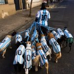 Dogs and Delirium: Argentina’s World Cup Mania Offers Stark Mirror to Political Reality