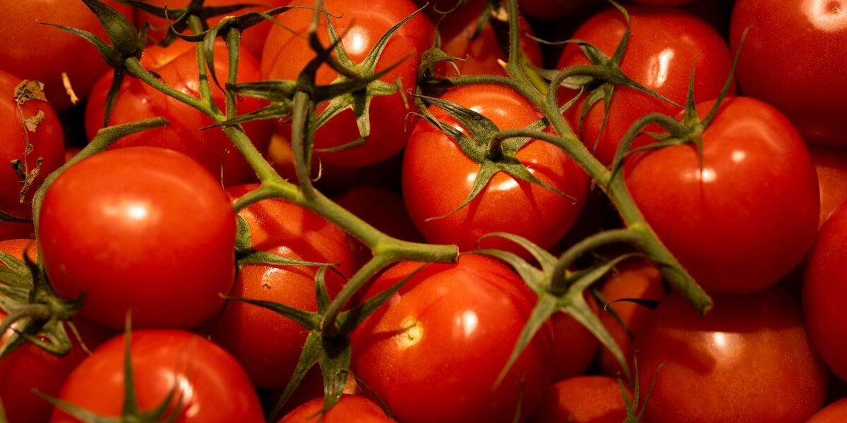 Sainsbury’s Partners with British Salad Producers to Combat Food Shortage Fears