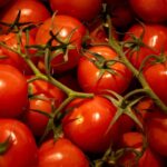 Sainsbury’s Partners with British Salad Producers to Combat Food Shortage Fears Sainsbury’s Partners with British Salad Producers to Combat Food Shortage Fears