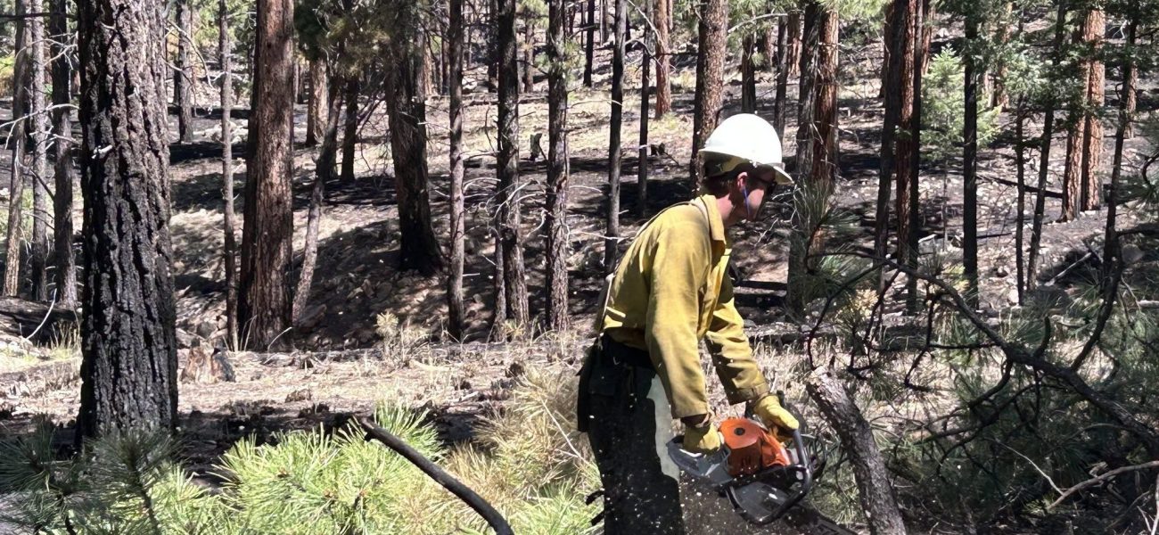 Embers and Resilience: New Mexico Fire Fight a Microcosm of Global Climate Strains