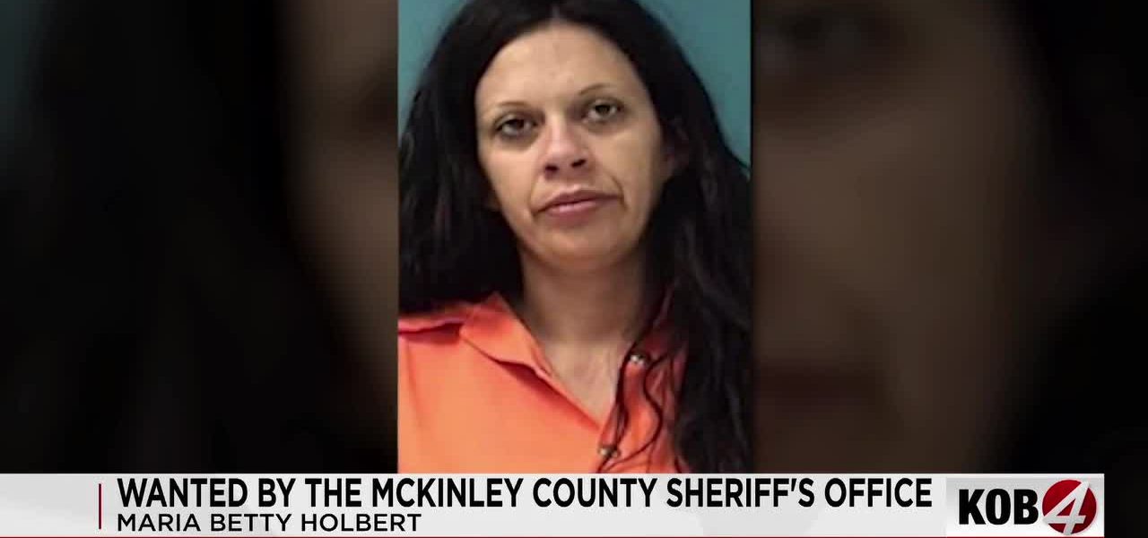 Shadows Across State Lines: A Fugitive’s Trail Exposes Gaps in America’s Domestic Justice Web