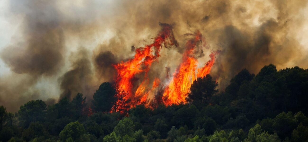 Scientists Express Concern Over Implications of Recent Artana Wildfires