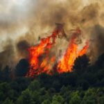 Scientists Express Concern Over Implications of Recent Artana Wildfires