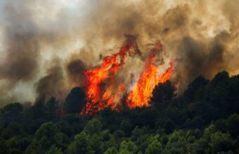 Scientists Express Concern Over Implications of Recent Artana Wildfires