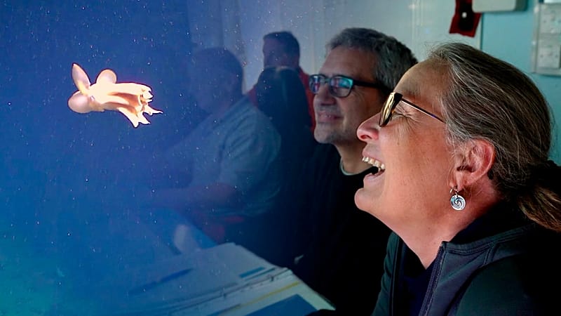Arctic Seabed: Norway’s Mineral Mania Confronts Pristine Depths