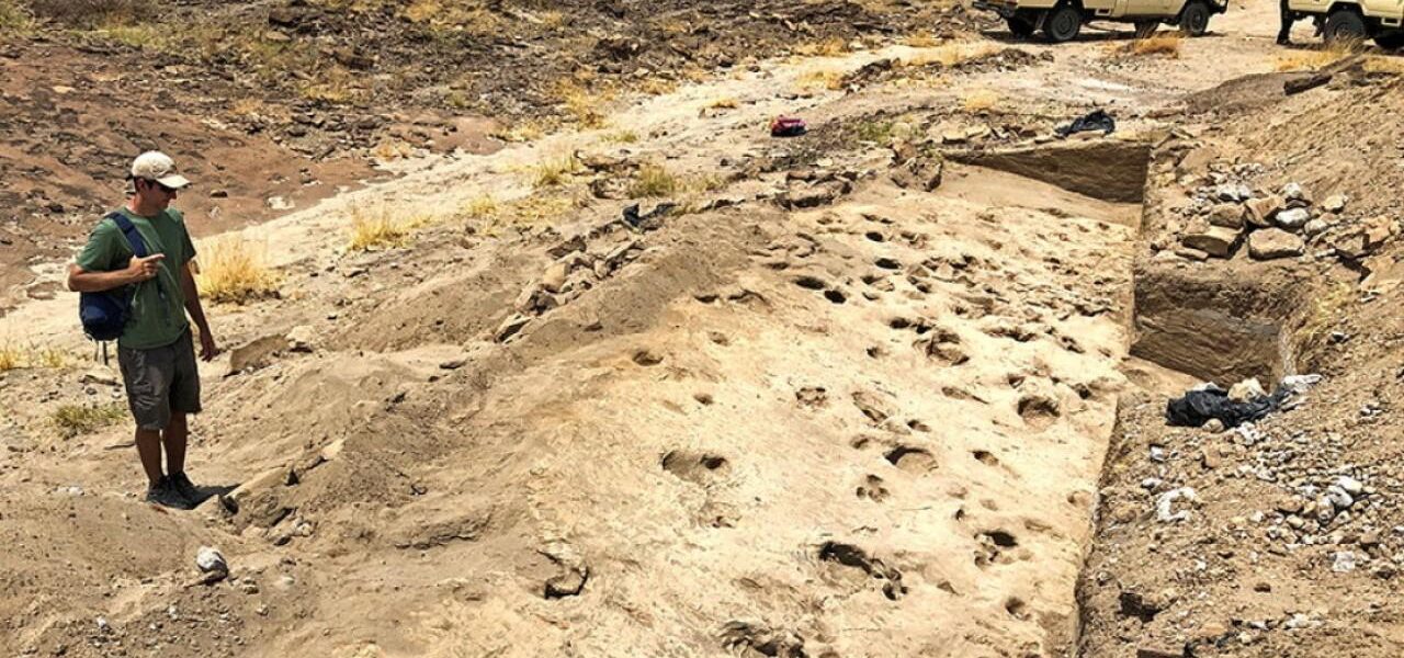 Ancient Footprints in Kenya Reveal Insights on Paranthropus boisei