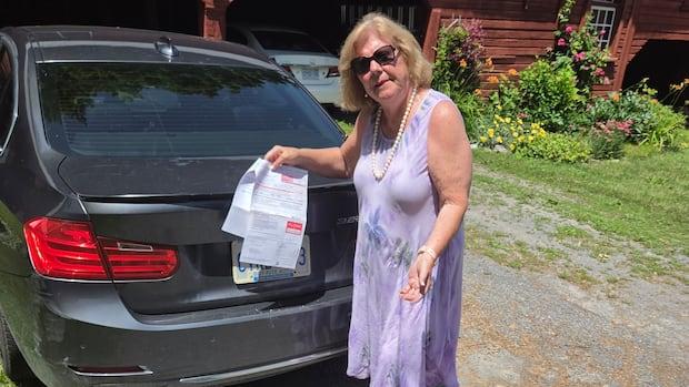 Stolen Car, Parking Ticket: The Bureaucratic Gauntlet