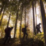 Japan’s Unseen Footpaths Offer Antidote to Over-Tourism, Challenging Global Heritage Models