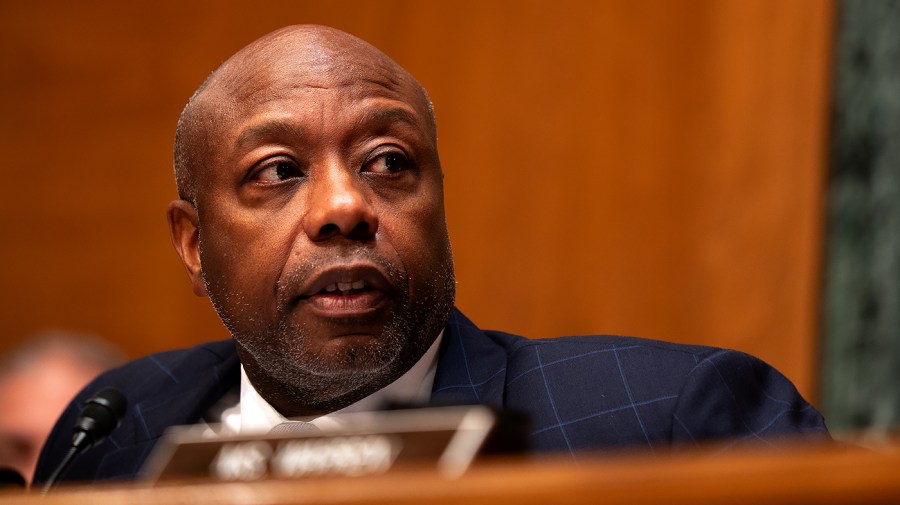 Senate’s Southern Charm Offensive Falters: Tim Scott’s Graham Jab Stirs Capital’s Undercurrents