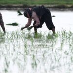 Erratic Monsoon Patterns in India Threaten Agriculture and Power Supply Erratic Monsoon Patterns in India Threaten Agriculture and Power Supply