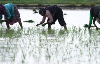Erratic Monsoon Patterns in India Threaten Agriculture and Power Supply Erratic Monsoon Patterns in India Threaten Agriculture and Power Supply