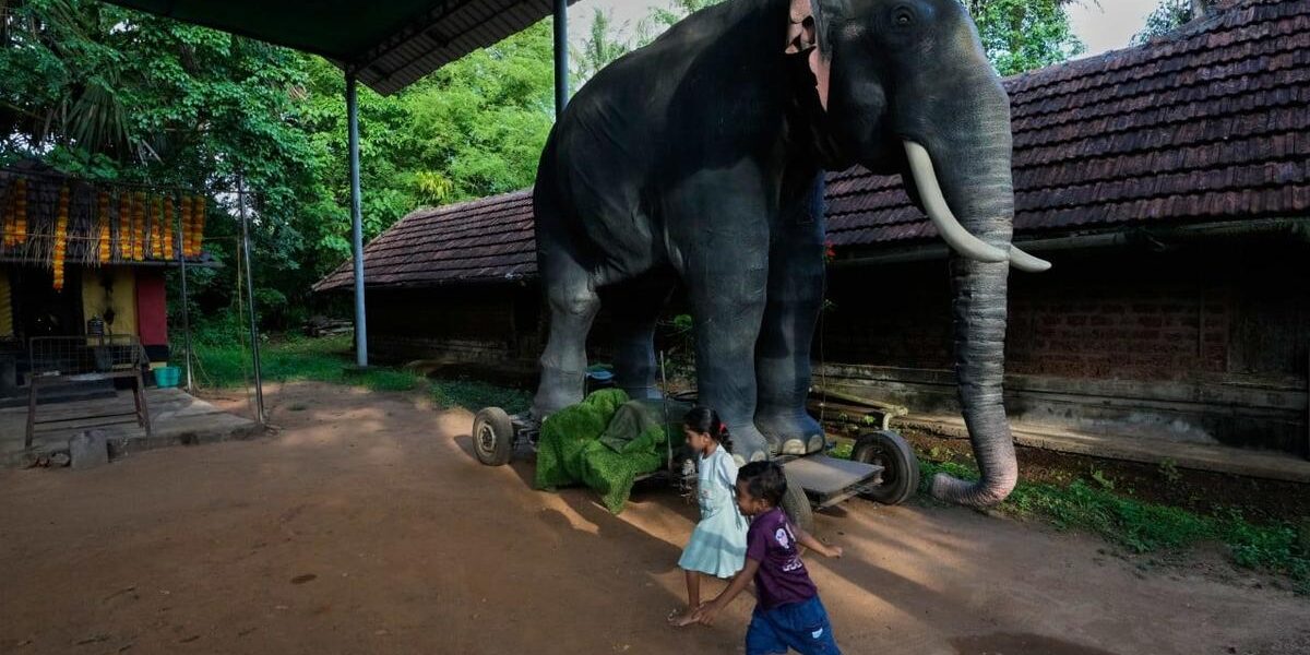 Automated Devotion: Robotic Elephants Stir India’s Temples with Both Wonder and Ire