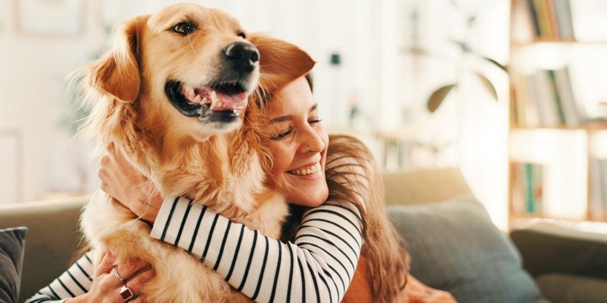 Expert Vet Reveals Common Misconceptions About Dog Behavior