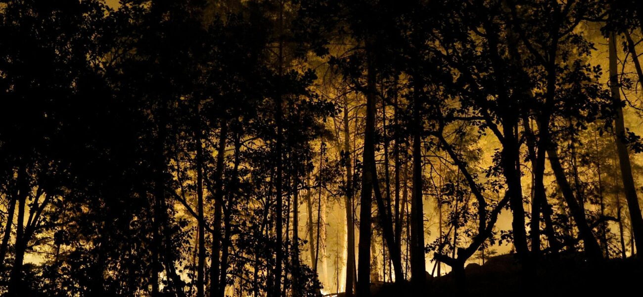Europe’s Blazing Summer: From Alpine Valleys to Moorland, Old World Sweats a New Reality