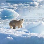 Israel’s Northern Frontier: A Cold Cruise, Hot Politics, or Just Plain Chutzpah? Israel’s Northern Frontier: A Cold Cruise, Hot Politics, or Just Plain Chutzpah?