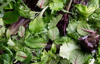 Salad Surprise: Michigan Outbreak Exposes Perils in Produce Pipeline