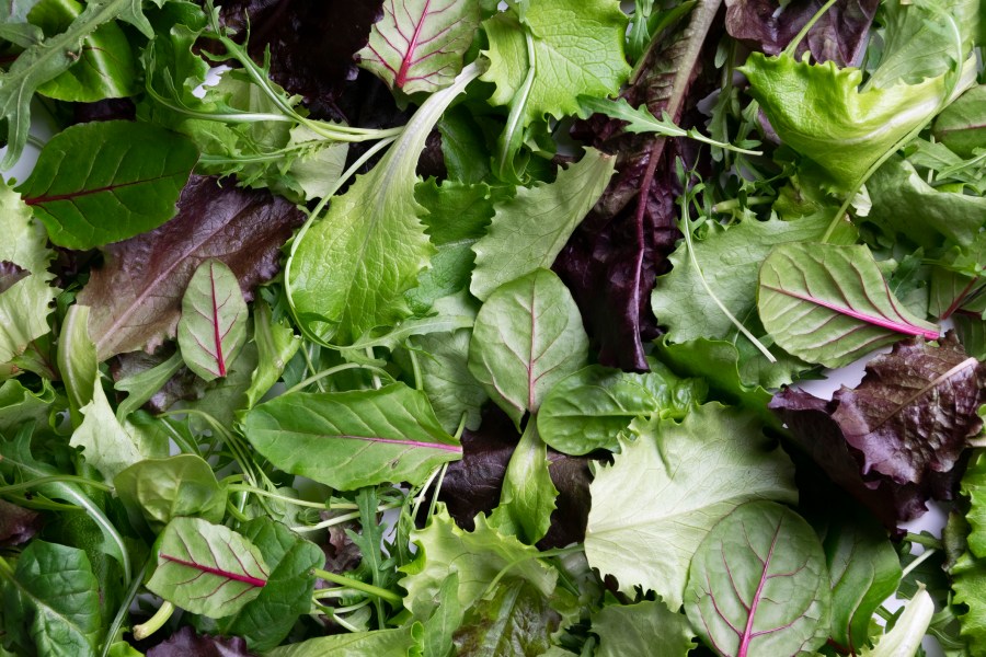 Salad Surprise: Michigan Outbreak Exposes Perils in Produce Pipeline