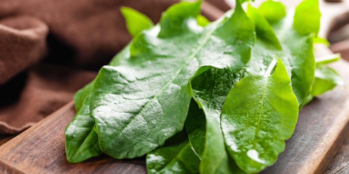 Perennial Vegetables: A Sustainable Future for UK Agriculture?
