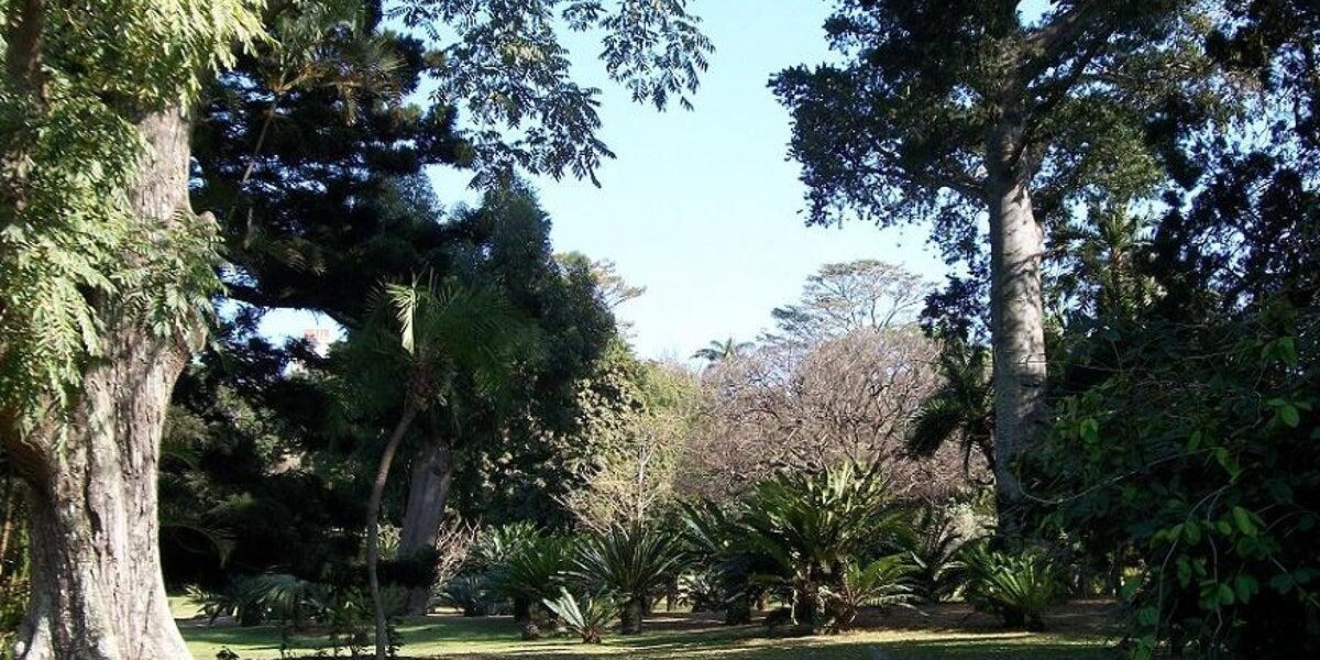 Historical UFO Sighting Report Uncovered in South Africa