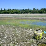 Parmesan Under Threat: Italy’s Drying Rivers Portend a Global Food Crisis