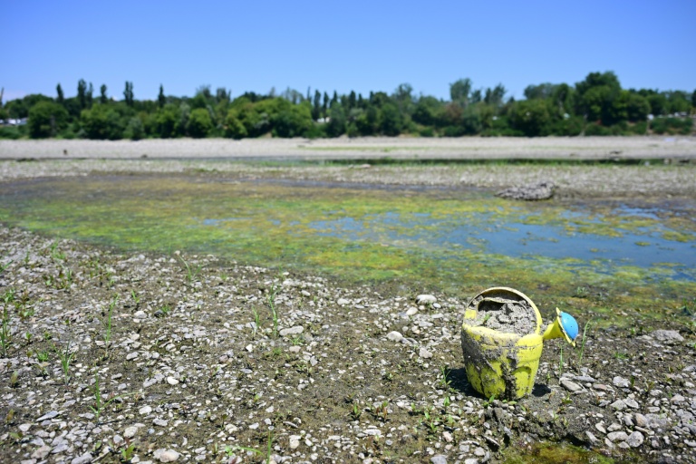 Parmesan Under Threat: Italy’s Drying Rivers Portend a Global Food Crisis