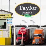 Taylor Farms Issues Comprehensive Recall Following Lettuce-Linked Illness Outbreak Taylor Farms Issues Comprehensive Recall Following Lettuce-Linked Illness Outbreak