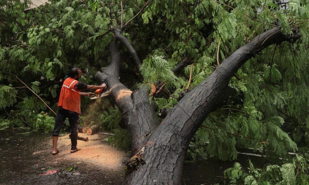 Mumbai’s Drowning Dream: Monsoon Exposes Cracks in India’s Urban Promise
