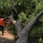 Mumbai Monsoon Havoc: Building Collapse Kills Six