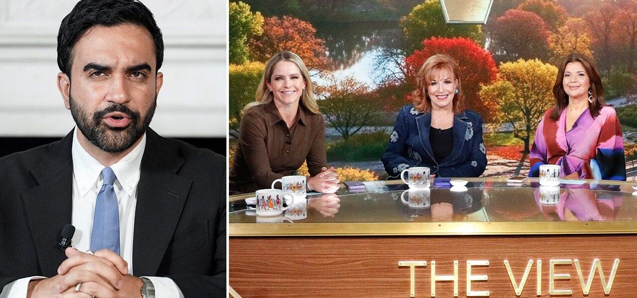 Daytime Television Scrutiny Ignites Backroom Executive Firestorm for Socialist Campaign