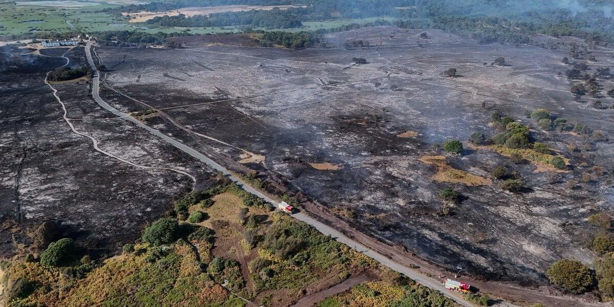 Essex Wildfire Threatens Nuclear Plant, Firefighters Battle Suffolk Flames