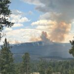 As Sacaton Fire Smolders, New Mexico Confronts a Bleaker Future, Inch by Burnt Inch